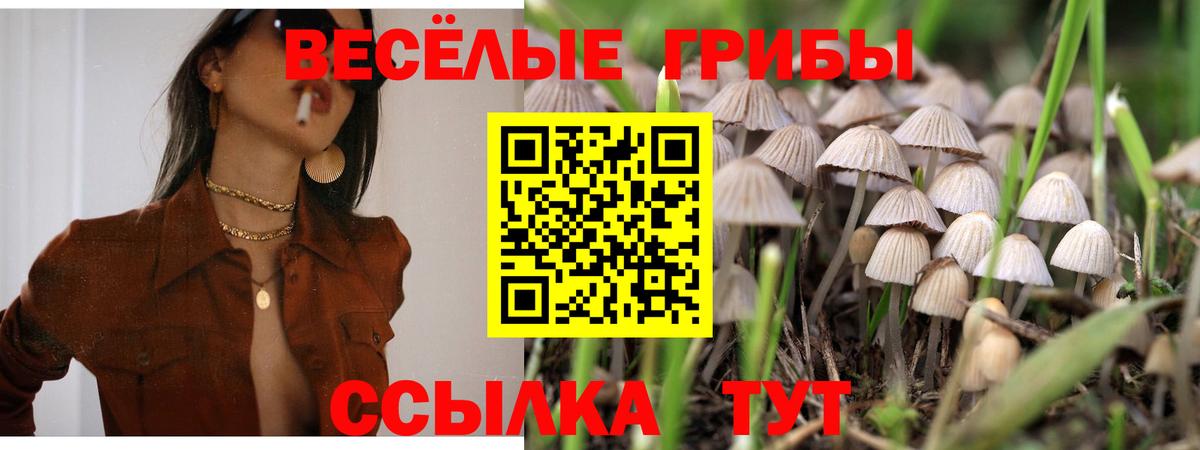 Псилоцибиновые грибы GOLDEN TEACHER  Вход с VPN  Белово 